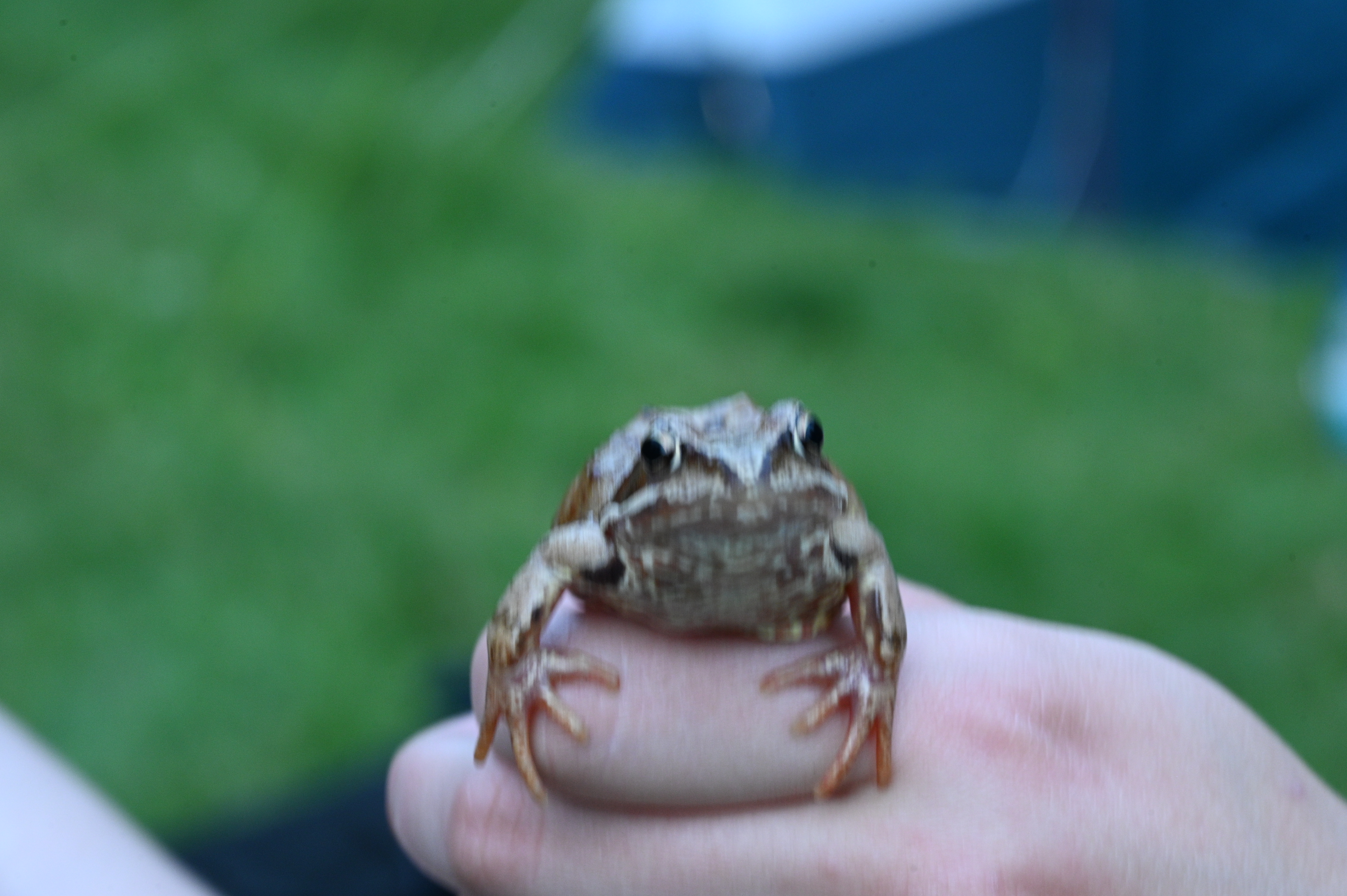 2025/07/09-14 - trip/DSC_0060.JPG